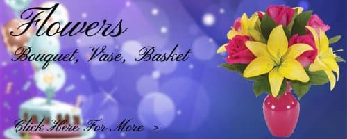 Birthday Flowers to Noida