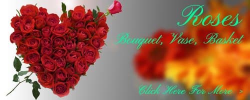 Birthday Roses to Noida