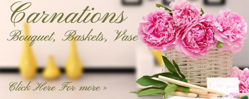 Carnations Flowers to Goa