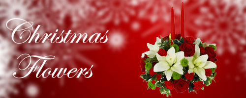 Christmas Flowers to India