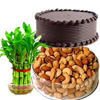 Cake to India