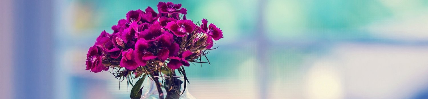 Flowers to India