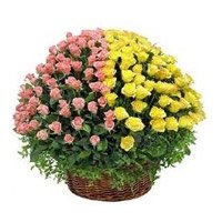 Flower Delivery in India