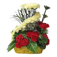 Flowers in India Midnight Delivery