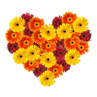 Same Day Flowers Delivery in India