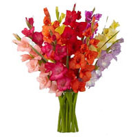 Flowers to India