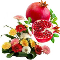 Gifts to India