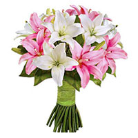 Father's Day Flower Delivery in India : Pink White Lily