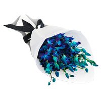 Send Orchids Flowers to India