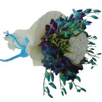Flowers Delivery India