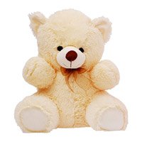 Gifts to India