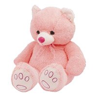 Shop for Gifts in India