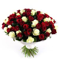 White Flowers to India