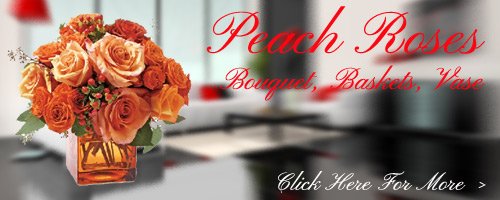 Peach Roses to Goa