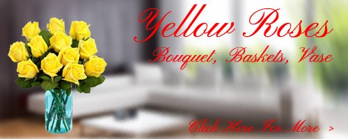 Yellow Roses to Goa